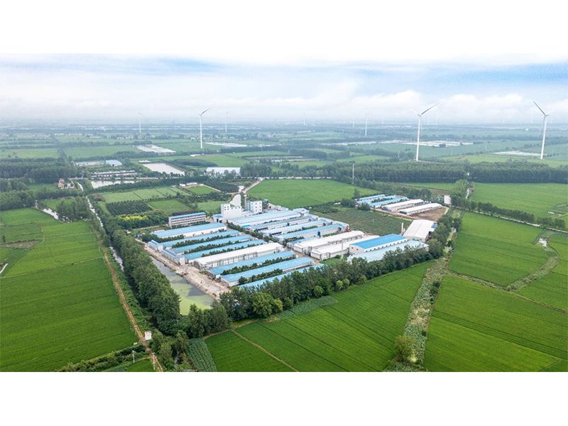 2023年中央一號文件出爐，畜禽產(chǎn)業(yè)應抓住哪些新機遇？