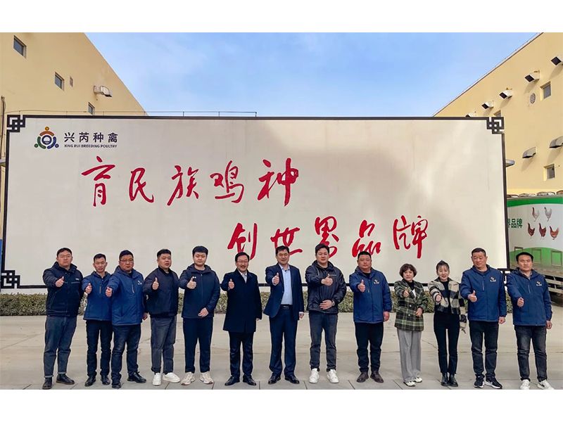 參觀學(xué)習(xí)促進(jìn)步 交流合作贏發(fā)展︱卓一牧業(yè)赴興芮種禽、峪口禽業(yè)與瑞普生物參觀訪學(xué)