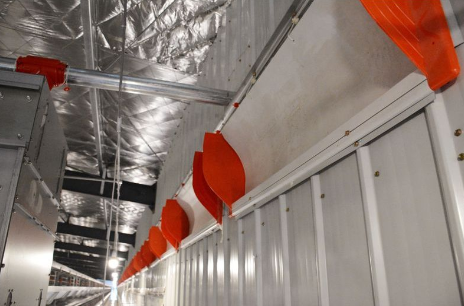 為什么全自動化養(yǎng)雞設(shè)備如此盛行？