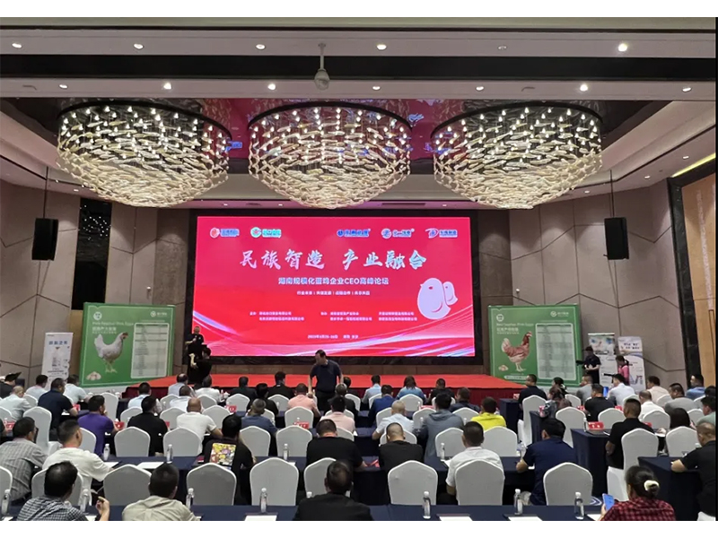 熱烈祝賀湖南規(guī)?；半u企業(yè)CEO高峰論壇取得圓滿成功！