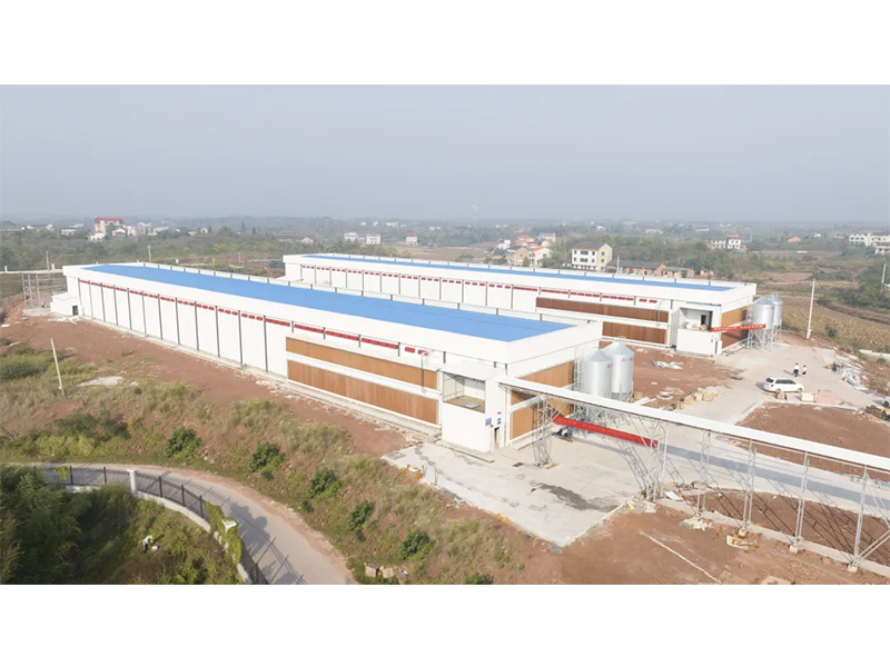 熱烈祝賀西南地區(qū)300萬羽蛋雞養(yǎng)殖基地驗收成功，上雞大吉！