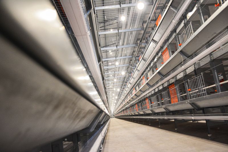  卓一牧業(yè)采用12層大規(guī)模產(chǎn)業(yè)養(yǎng)雞模式，跟進(jìn)養(yǎng)雞規(guī)模新趨勢(shì)